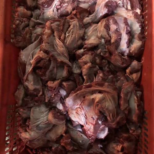 連肝肉批發(fā)與格山批發(fā) 惠州及周邊地區(qū)的高效肉類配送服務(wù)