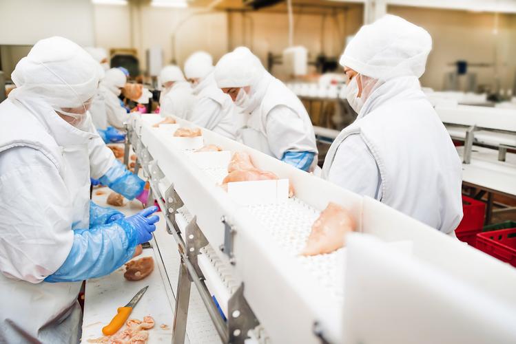 從流水線到餐桌 現代工廠雞胸肉加工與肉類配送服務全解析